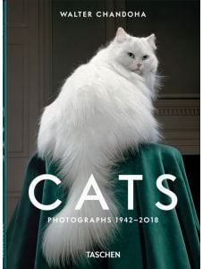 Walter Chandoha - Cats Photographs 1942-2018