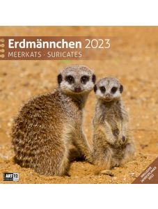 Календар Ackermann Erdmännchen - Сурикати, 2023 година