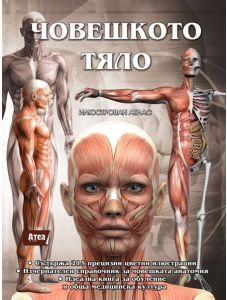 Човешкото тяло, илюстрован атлас