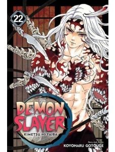 Demon Slayer Kimetsu no Yaiba, Vol. 22
