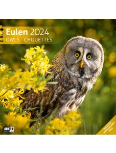 Календар Ackermann Eulen - Бухали, 2024 година