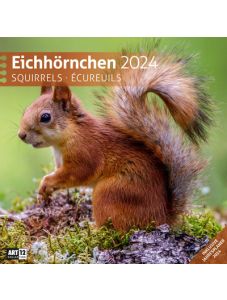 Календар Ackermann Eichhörnchen - Катерички, 2024 година