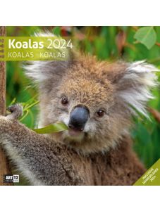 Календар Ackermann Koalas - Коали, 2024 година