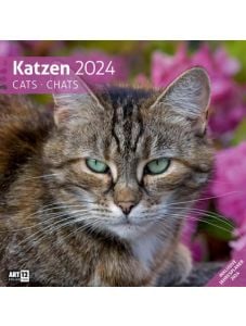 Календар Ackermann Katzen - Котки, 2024 година