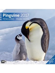 Календар Ackermann Pinguine - Пингвини, за 2017 г.