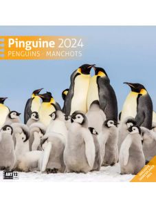 Календар Ackermann Pinguine - Пингвини, 2024 година