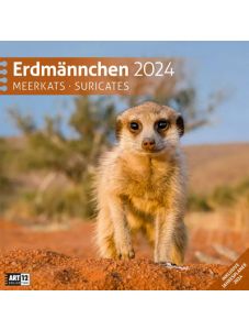 Календар Ackermann Erdmännchen - Сурикати, 2024 година