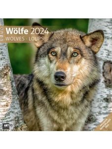 Календар Ackermann Wölfe - Вълци, 2024 година