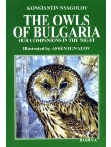 Owls Of Bulgaria: Our Companions In The Night