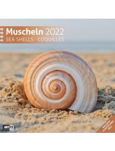 Календар Ackermann Muscheln - Раковини, 2022 година