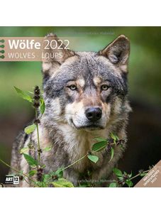 Календар Ackermann Wölfe - Вълци, 2022 година