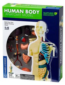 Конструирай модел на човешкото тяло Thames & Kosmos