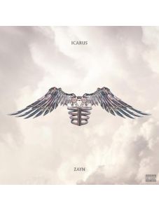 Icarus Falls (2 CD)