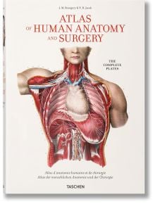 Atlas of Human Anatomy and Surgery - Henri Sick, Jean-Marie Le Minor - TASCHEN - 9783836568982