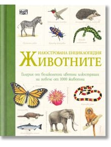 Илюстрована енциклопедия: Животните - Колектив - Момиче, Момче - Фют - 3800083818069