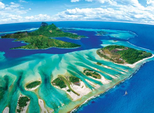 Пъзел Eurographics - Коралов риф, 1000 части - EuroGraphics - EuroGraphics - Жена, Мъж - Eurographics - Save Our Planet Puzzles - 628136655385-3
