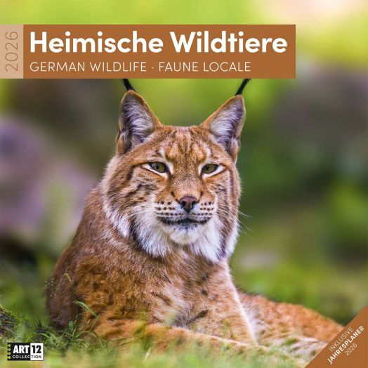 Стенен календар Ackermann German Wildlife 2026 – Диви животни в Германия - Ackermann - Ackermann - Жена, Мъж - Ackermann - Art12 - 9783838446264-1