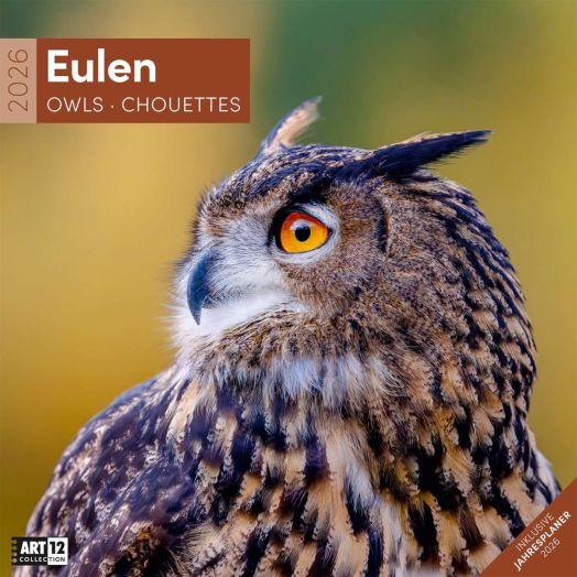 Стенен календар Ackermann Owls 2026 – Бухали - Ackermann - Ackermann - Жена, Мъж - Ackermann - Art12 - 9783838446240-1