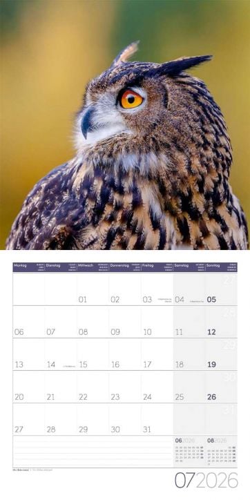 Стенен календар Ackermann Owls 2026 – Бухали - Ackermann - Ackermann - Жена, Мъж - Ackermann - Art12 - 9783838446240-8