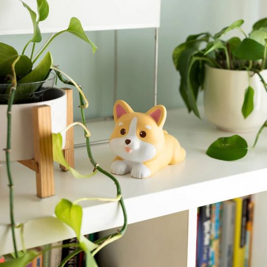 Антистрес фигурка Legami - Corgi, малка и симпатична фигурка за облекчаване на стреса, седи на бял рафт между две зелени растения в саксии, а на долния рафт на заден план се виждат книги.-3