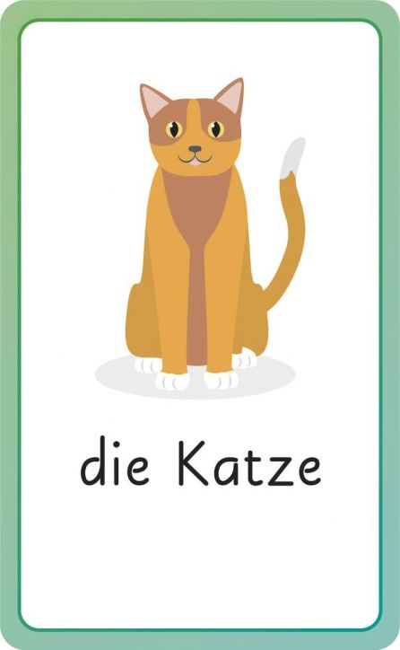 German for Everyone Junior First Words Flash Cards - DK - Момиче, Момче - DK Publishing - 9780241601419-2