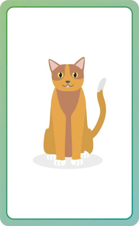 German for Everyone Junior First Words Flash Cards - DK - Момиче, Момче - DK Publishing - 9780241601419-3