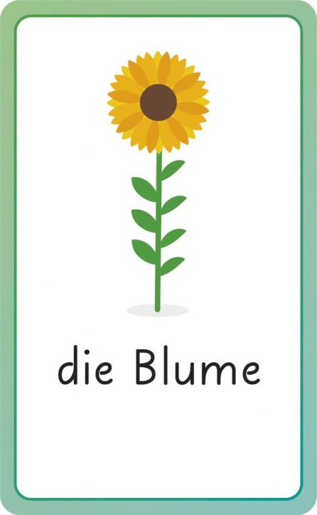 German for Everyone Junior First Words Flash Cards - DK - Момиче, Момче - DK Publishing - 9780241601419-4