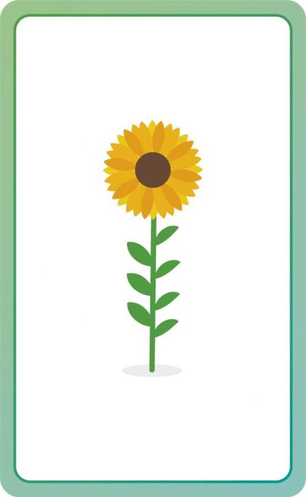 German for Everyone Junior First Words Flash Cards - DK - Момиче, Момче - DK Publishing - 9780241601419-5