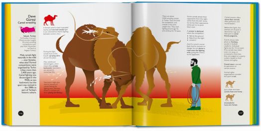 Crazy Competitions. 100 Weird and Wonderful Rituals from Around the World - Nigel Holmes - TASCHEN - 9783836539081-9