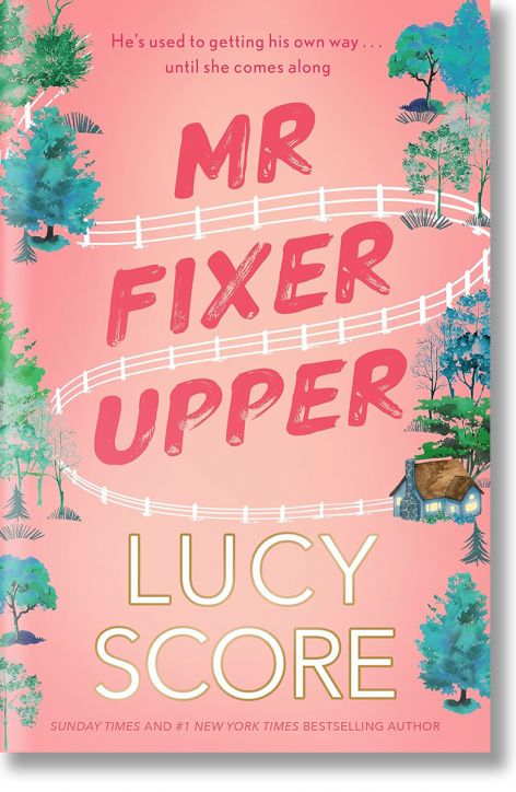 Mr Fixer Upper - Lucy Score - Hodder & Stoughton - 9781399735513