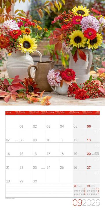 Стенен календар Ackermann Bouquets 2026 – Букети - Ackermann - Ackermann - Жена - Ackermann - Art12 - 9783838446004-10