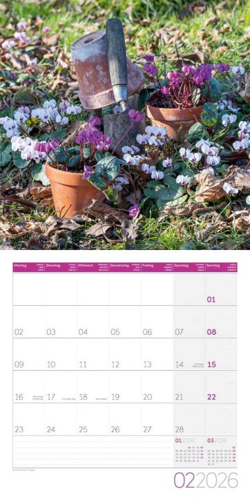 Стенен календар Ackermann Country Life 2026 – Селски живот - Ackermann - Ackermann - Жена, Мъж - Ackermann - Art12 - 9783838446165-3