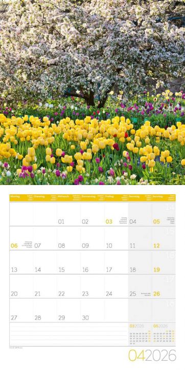 Стенен календар Ackermann Gardens 2026 – Градини - Ackermann - Ackermann - Жена - Ackermann - Art12 - 9783838446301-5