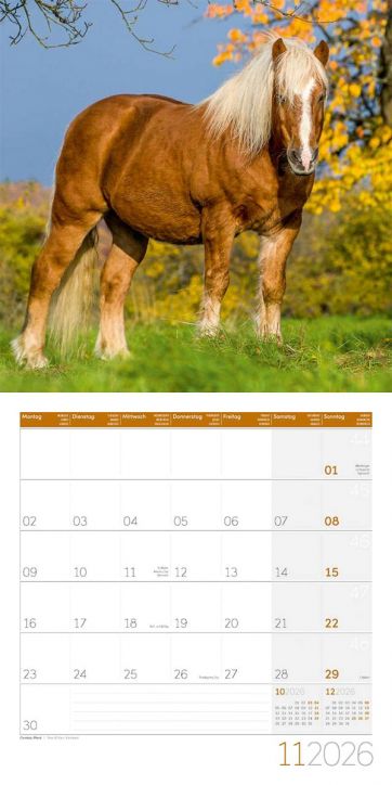 Стенен календар Ackermann Horses 2026 – Коне - Ackermann - Ackermann - Жена, Мъж - Ackermann - Art12 - 9783838446219-12