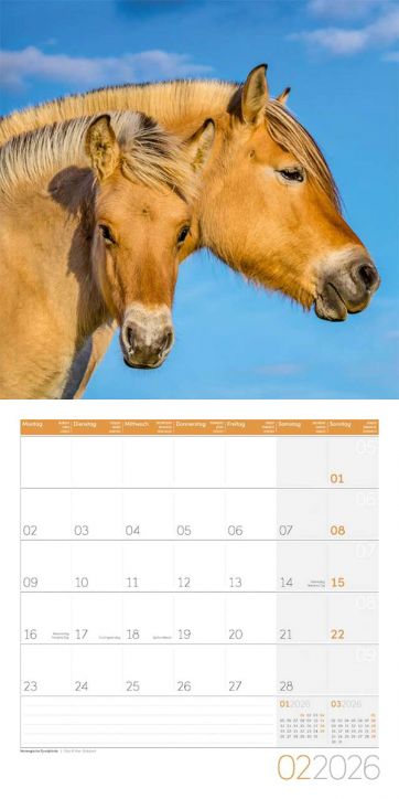 Стенен календар Ackermann Horses 2026 – Коне - Ackermann - Ackermann - Жена, Мъж - Ackermann - Art12 - 9783838446219-3