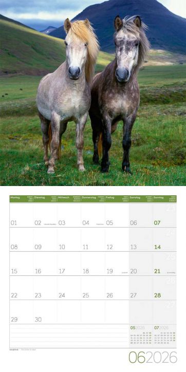 Стенен календар Ackermann Horses 2026 – Коне - Ackermann - Ackermann - Жена, Мъж - Ackermann - Art12 - 9783838446219-7