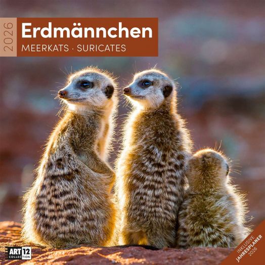 Стенен календар Ackermann Meerkats 2026 – Сурикати - Ackermann - Ackermann - Жена, Мъж - Ackermann - Art12 - 9783838446325-1