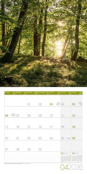 Страницата за април 2026 г. в Стенен календар Ackermann Mystic Forest 2026 - Мистична гора показва слънчева гора, вертикален календар с дати и малки прегледи на март и май. Идеален стенен календар 2026 г.-5