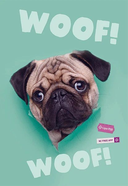 Тетрадка Mar Mar Woof A4, 40 листа с широки редове - MAR-MAR - Mar Mar - Момиче, Момче - 3858888497132-2