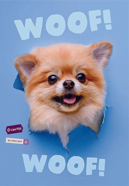 Тетрадка Mar Mar Woof A4, 40 листа с широки редове - MAR-MAR - Mar Mar - Момиче, Момче - 3858888497132-3