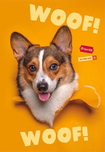 Тетрадка Mar Mar Woof A4, 40 листа с широки редове - MAR-MAR - Mar Mar - Момиче, Момче - 3858888497132-5