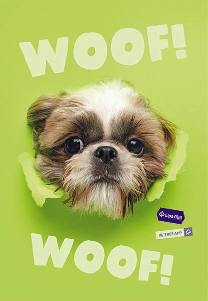 Тетрадка Mar Mar Woof A4, 40 листа с широки редове - MAR-MAR - Mar Mar - Момиче, Момче - 3858888497132-1