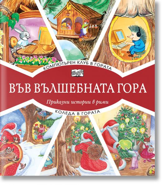 Във Вълшебната гора: Компютърен клуб в гората. Коледа в гората - Момиче, Момче - Фют - 3800083826972