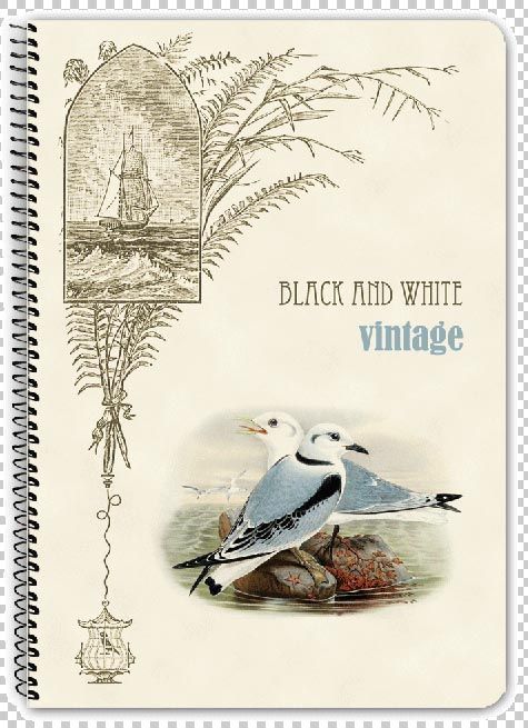 Тетрадка Vintage - Black & White - Жена, Момиче - 3800099401255-3