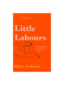 Little Labours - 9780008225209