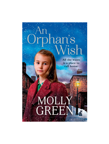 An Orphan's Wish - 9780008239008