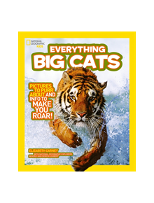 Everything: Big Cats - 9780008267827