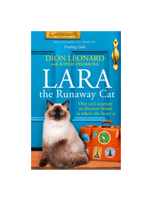 Lara The Runaway Cat - 9780008316273