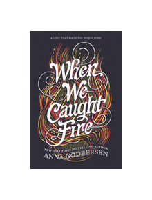 When We Caught Fire - 9780062679833