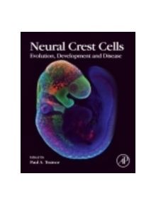 Neural Crest Cells - 9780124017306